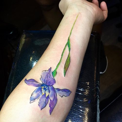 iris tatuaggio